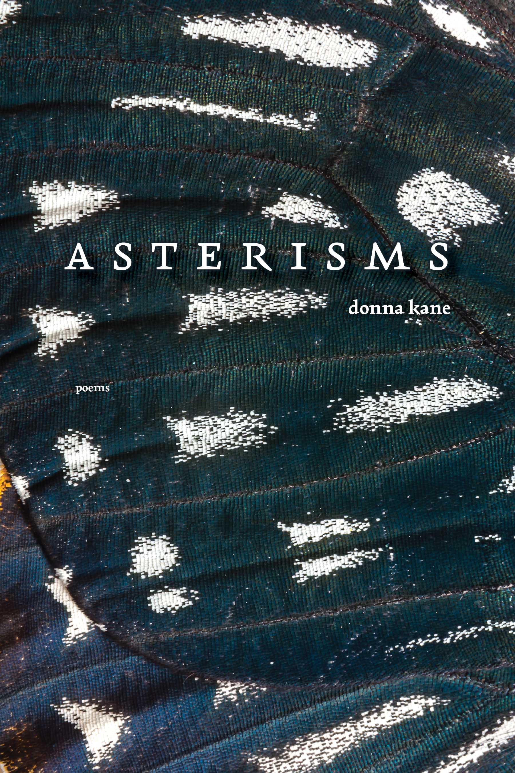 , by Donna Kane