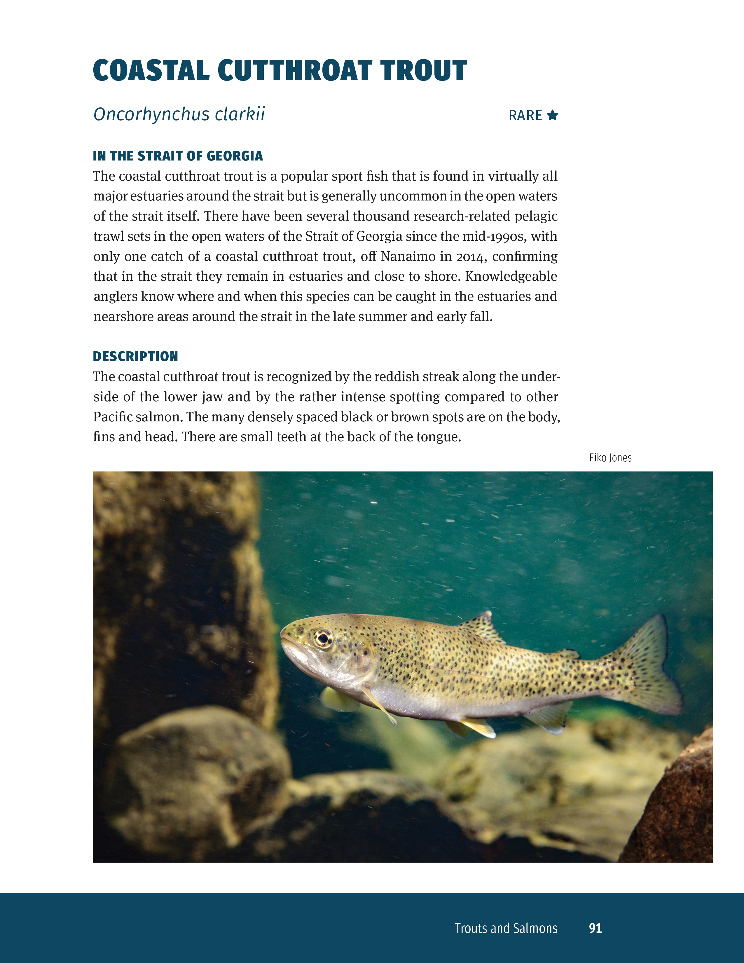 Fishes of the Strait of Georgia: More than 240 Life Histories, by Dick Beamish and Jeff Marliave