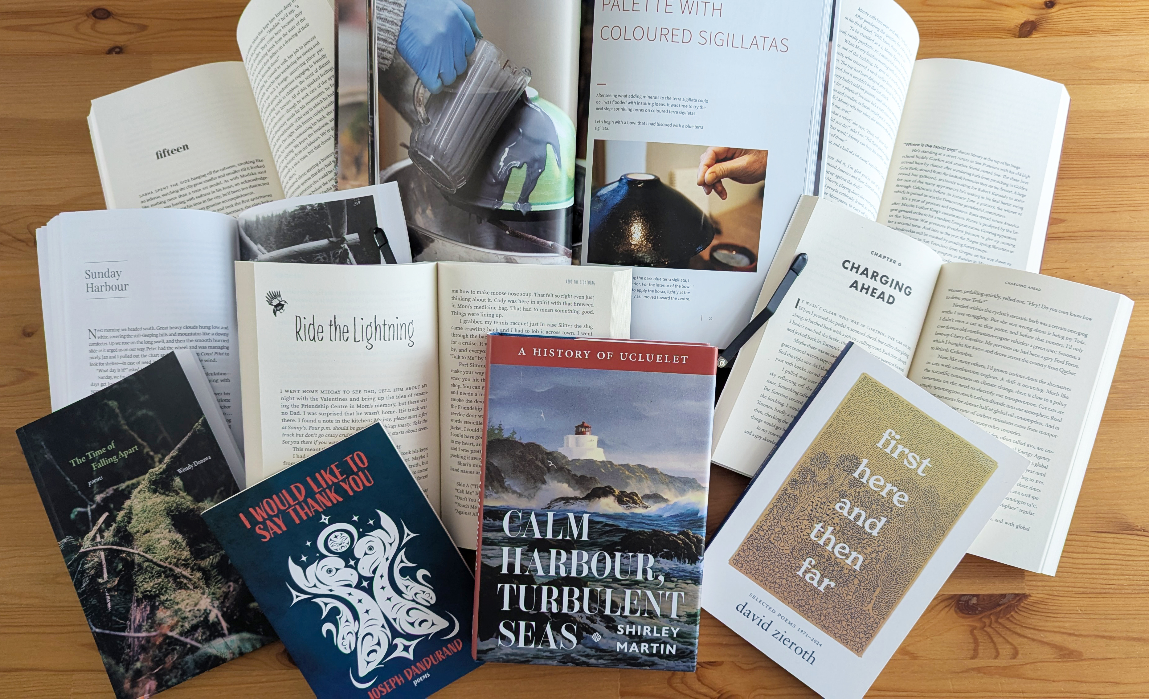 Several books laid out together, some showing the cover and others splayed open, showing the page layout. 